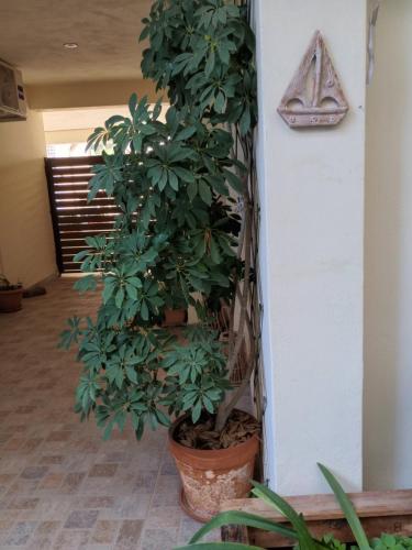 Garden studio in ไพเรียส