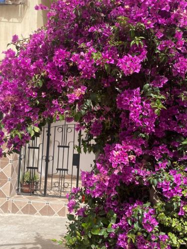Appartement Zina Agadir in 시디 유세프