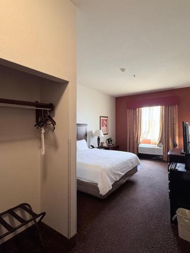 Holiday Inn Express Hotel & Suites Terrell an IHG Hotel - image 35