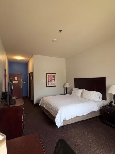 Holiday Inn Express Hotel & Suites Terrell an IHG Hotel - image 40