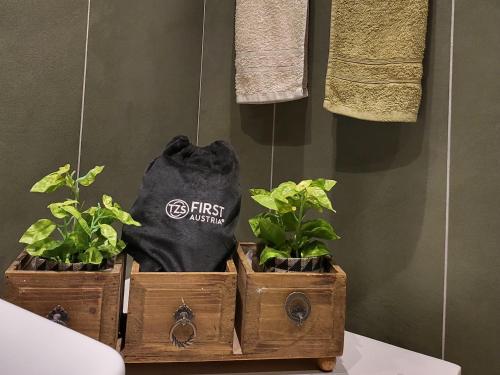 Acropolis 5