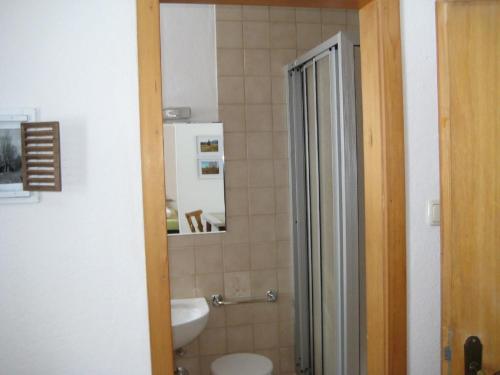 Pension zum Lusenblick - image 7