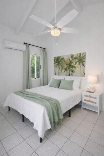 The View at Green Cay - Full AC - Walk to the Beach in 圣克罗伊岛