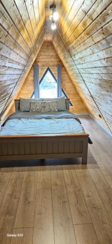 Wild A-frame, Băile Felix (Foto 2)