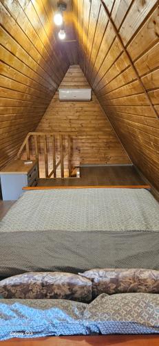 Wild A-frame, Băile Felix (Foto 7)
