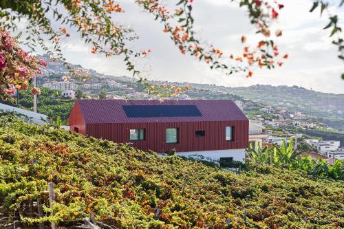 O refúgio ideal para uma experiência pacífica gîte à louer Estreito de Câmara de Lobos