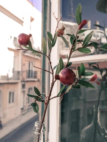 Cozy Lisbon Janelas Verdes, Lisabon (fotografie 5)
