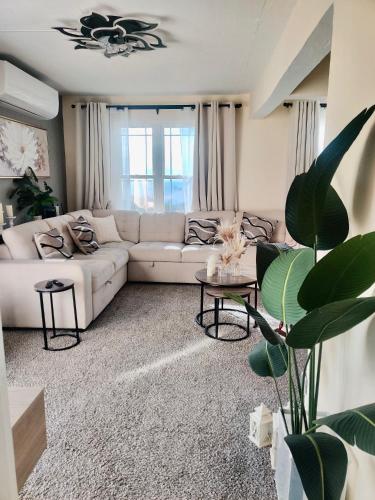 Cozy Stays in Oranjestad