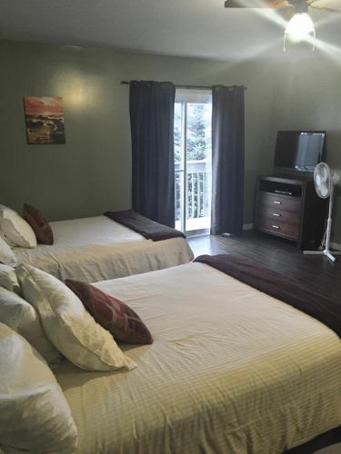 Stay in Gros Morne in Rocky Harbour (NL)
