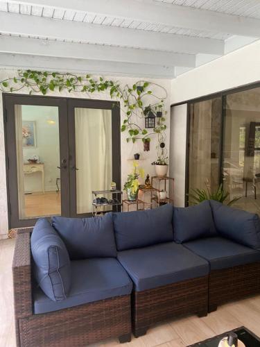 Luxury Garden Oasis in Wellington