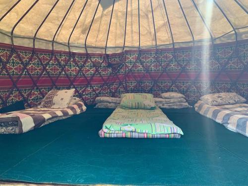 Elmar Ordo Yurt camp AltynArashan in Teploklyuchenka