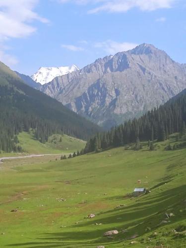 Viesnīcas āriene, Elmar Ordo Yurt camp AltynArashan in Teploklyuchenka