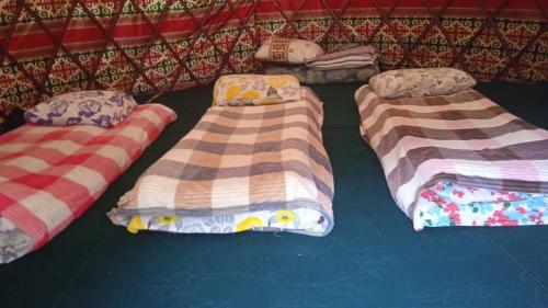 Elmar Ordo Yurt camp AltynArashan in Teploklyuchenka