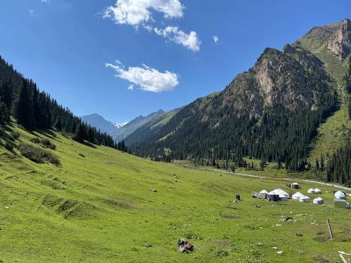 Elmar Ordo Yurt camp AltynArashan in Teploklyuchenka