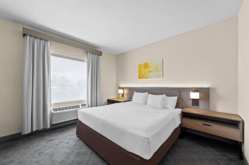Comfort Suites San Antonio North - Stone Oak - image 22