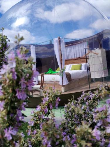 Luxury Stargazing Bubble for a Peaceful Romantic Escape in Segovia, Spain in Muñoveros