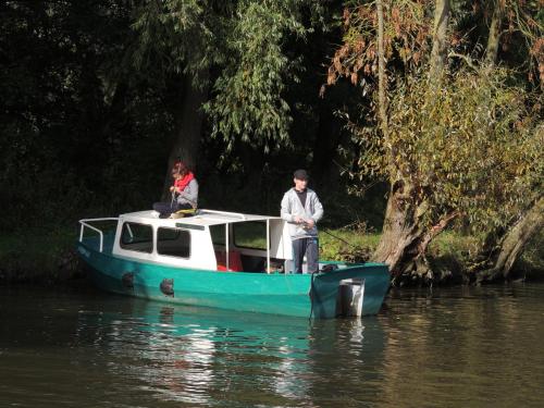 de Brabantse Biesbosch