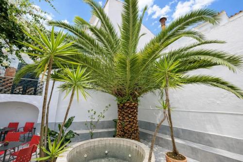 Relax Guesthouse & Hostel Lagos Central Algarve in Lagos