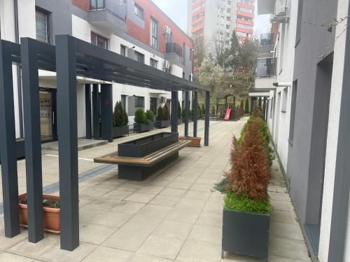 Bella in Marosvásárhely