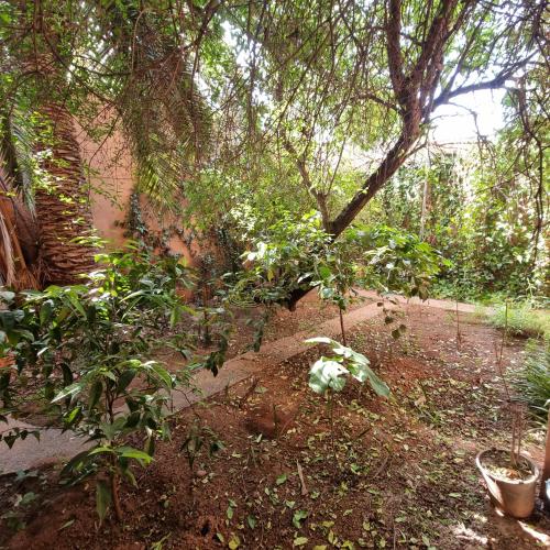Momo's villa in Ait Ourir