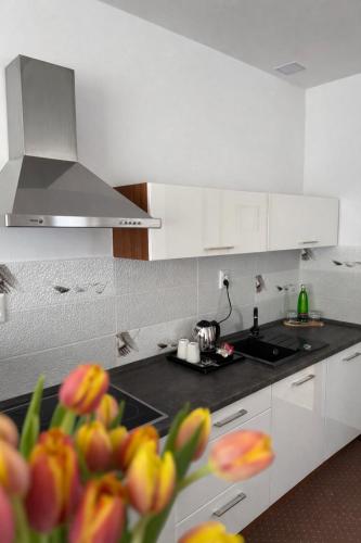 Penzión Lapáš u Hoffera obrázok