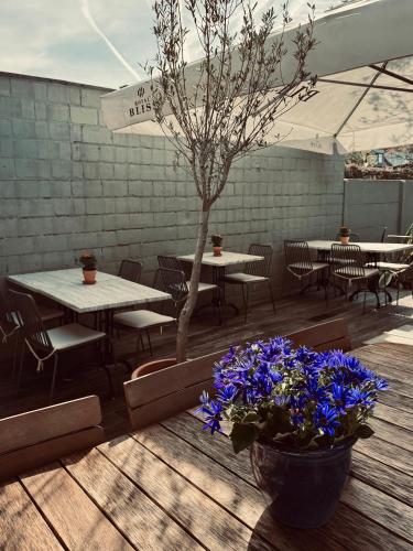 Restaurant, 's Lands Welvaren in Sluis