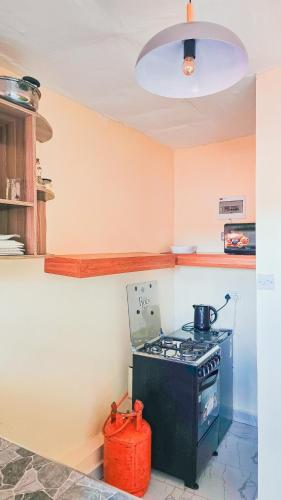 Sapphire EA Homes-B8 in Embu