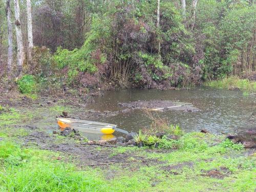 Private jungle retreat with AC and WiFi near Volcano in Hawaiian Acres (HI)