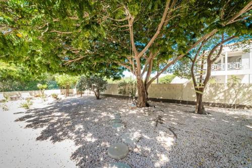 Jardín, Coral Estate Rentals in Willibrordus
