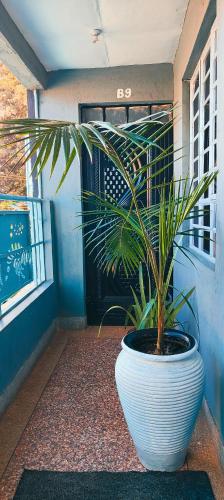 Sapphire EA Homes-B9 in Embu