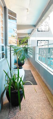 Sapphire EA Homes-B9 in Embu