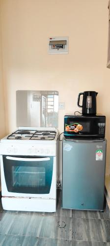 Sapphire EA Homes-B9 in Embu