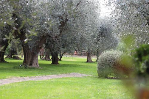Isola degli Ulivi gîte à louer Ghetto