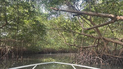 Sita joyeh island resort in Kunkujang Jattaya