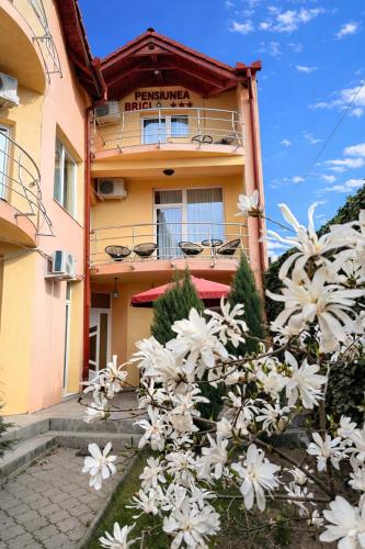 Pensiunea Brici - image 39