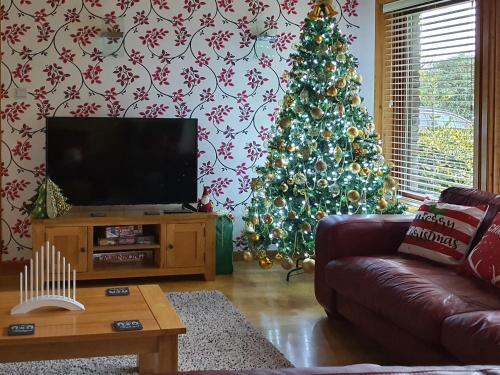 Madison - Tap to explore photos