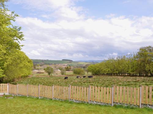 View, Glennydd in Bronant