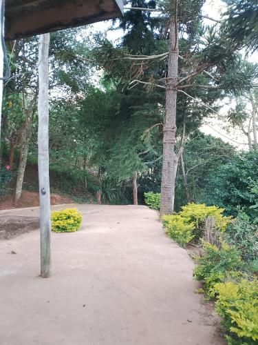 Golden Oak- Zame Hideaway Nature Retreat in Hedaru