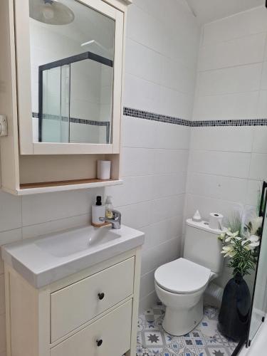 ห้องน้ำ, ღ Le Libero - Maisonnette T2 proche plage, Cosy in ชาร์เตลายอง ปาล์ค