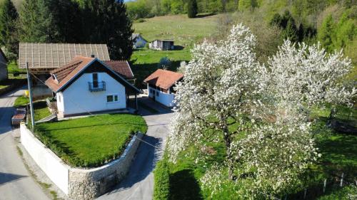 Apartma Laganini in Bosiljevo