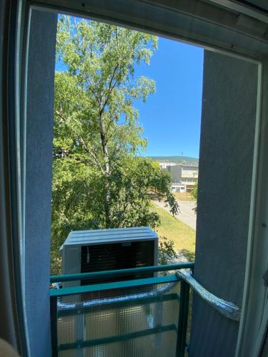 View, Apartman Hal Jozsef utca in Szigeti Kulvaros