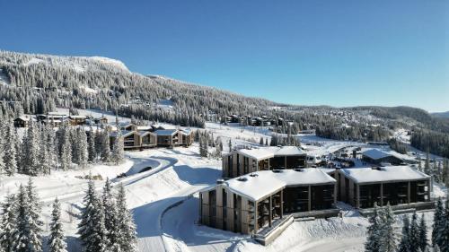 Skjonnhet Cottage - Luxury chalet next to ski slopes in Fåvang