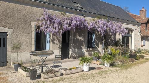 La Fermaletrie - Location saisonnière - Azay-sur-Cher