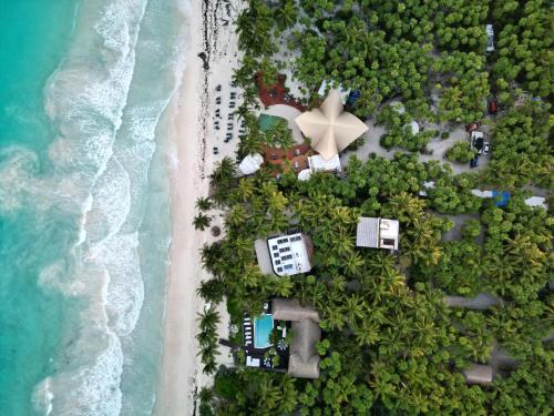 Olas Tulum