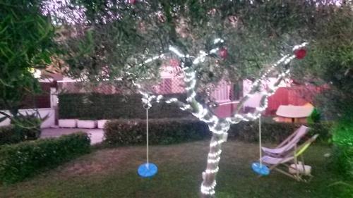 Rifa b&b - image 4
