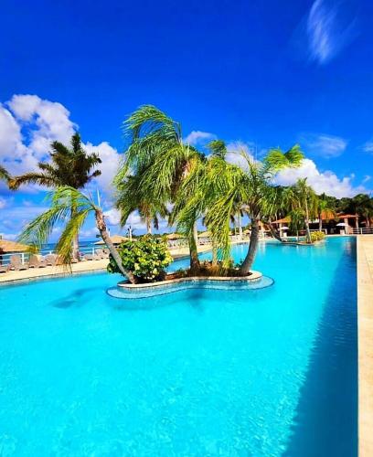Coral Cove Oasis in Discovery Bay