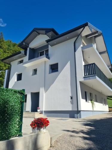 Apartman Sunce in Orašac