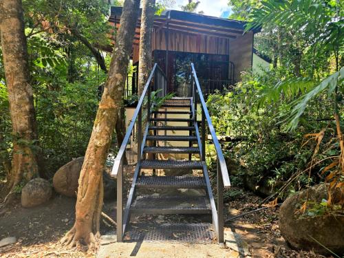 Roca Verde - Cabana entre arboles in Monteverde