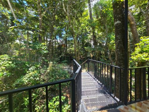 Roca Verde - Cabana entre arboles in Monteverde