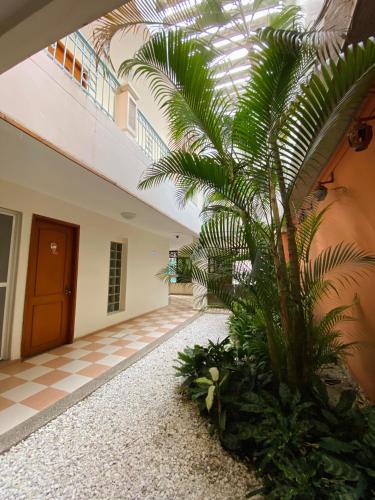 Hotel Terranova SM in Santa Marta
